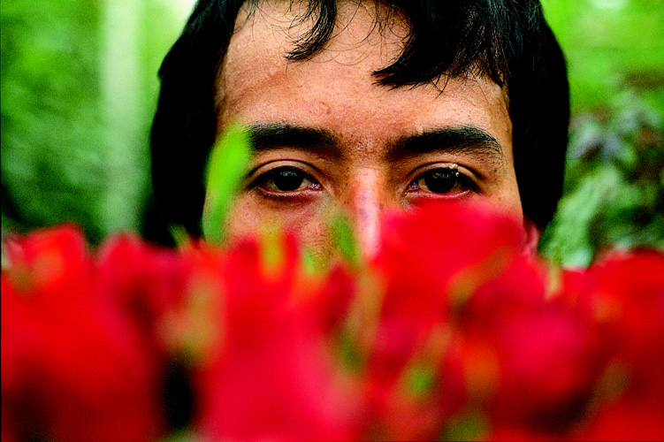 Wot No Flowers - Colombia